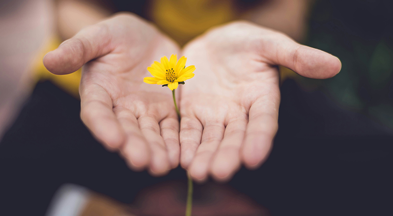 The Spirit of Giving All Year Long