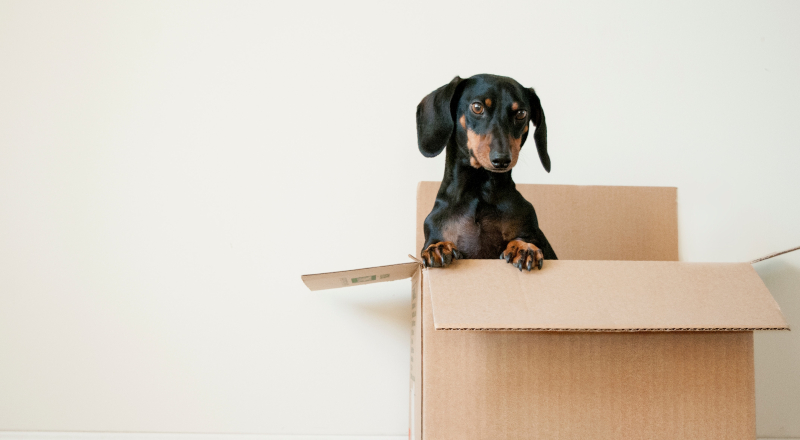 @item.Title